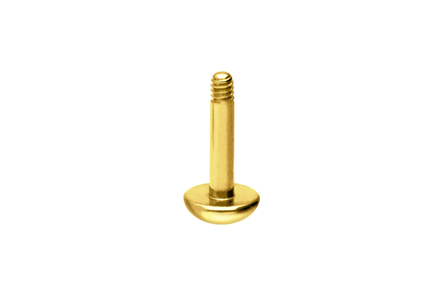 Titan Labret Piercing ohne Kugel ABGERUNDETE PLATTE